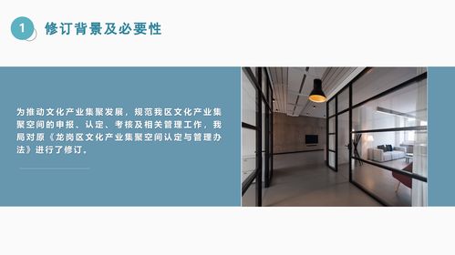 深圳市龙岗区文化产业（含数字创意产业）集聚空间认定与管理办法政策解读 聚焦数字文化创意内容应用服务