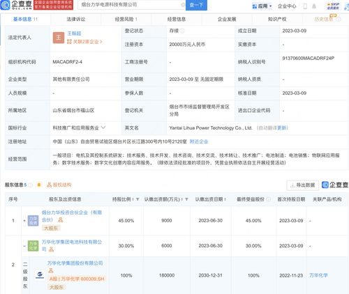 数字文化创意内容应用服务 开启数字时代文化新纪元